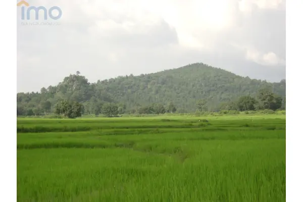 grójecki, Pniewy, Cychry, Zacznij uprawiać ekologiczne warzywa dla siebie