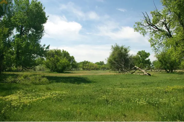 dąbrowski, Olesno, Dąbrówka Gorzycka, Działka rolna pod dzierżawę