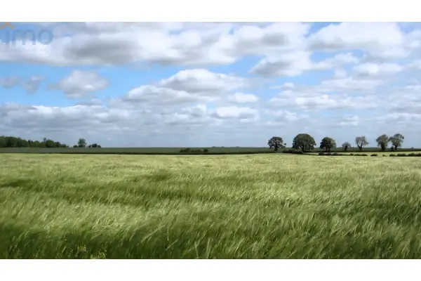 Oleszka, Zdzieszowice, Działka do dzierżawy