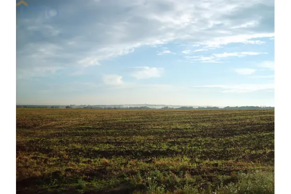 lubartowski, Michów, Elżbietów, Zadzwoń i wyprzedź innych kupujących