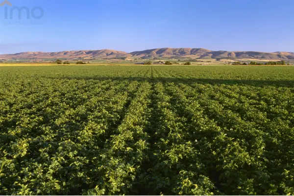 Toruń, Kaszczorek, Dobrze usytuowana działka, blisko głównej drogi