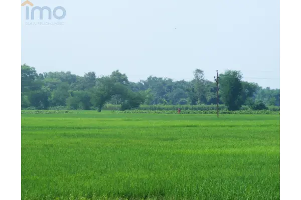 kutnowski, Łanięta, Zgoda, Działka na sprzedaż