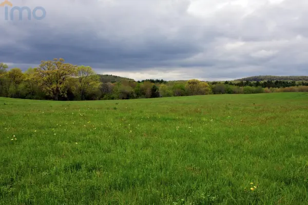 Dębowo, Brańsk, Działka na sprzedaż