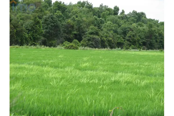 krośnieński, Jaśliska, Posada Jaśliska, ZAREZERWOWANA DO KOŃCA TYGODNIA