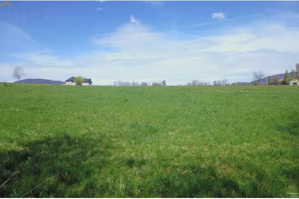 kluczborski, Wołczyn, Krzywiczyny, Oddam w dzierżawę - PILNE !