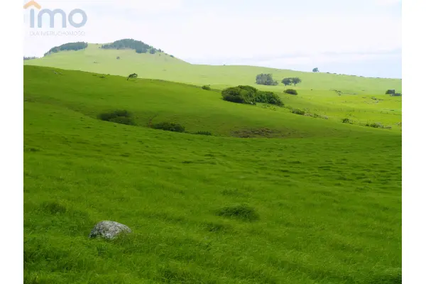 ostrowiecki, Waśniów, Garbacz, Oddam w dzierżawę, czarnoziem