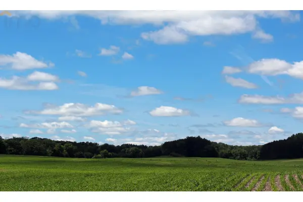 ostrowiecki, Waśniów, Garbacz, Oddam w dzierżawę, czarnoziem