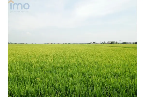 Chełm, Antonin, Woda i prąd na działce - atrakcyjna cena