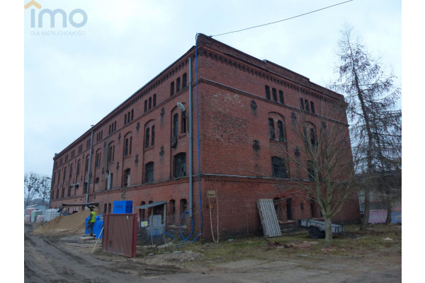 aleksandrowski, Nieszawa, Building for sale